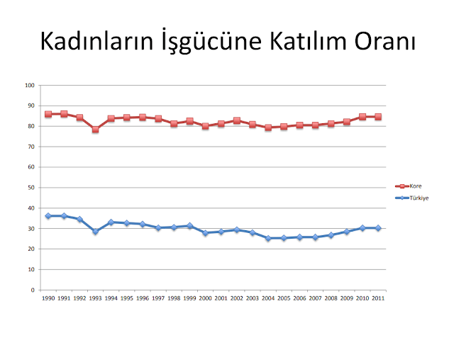 Bilgi ve Türkiye